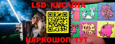 эйфоретик Новозыбков