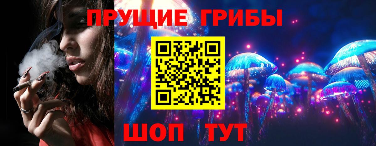 Псилоцибиновые грибы мухоморы Волгоград
