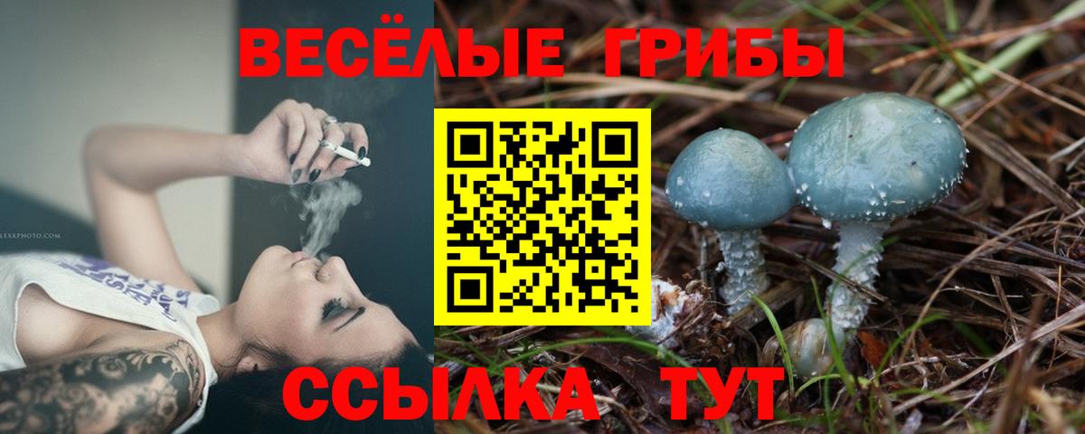 Волгоград  Псилоцибиновые грибы Psilocybine cubensis  Вход с VPN  Галлюциногенные грибы Cubensis 