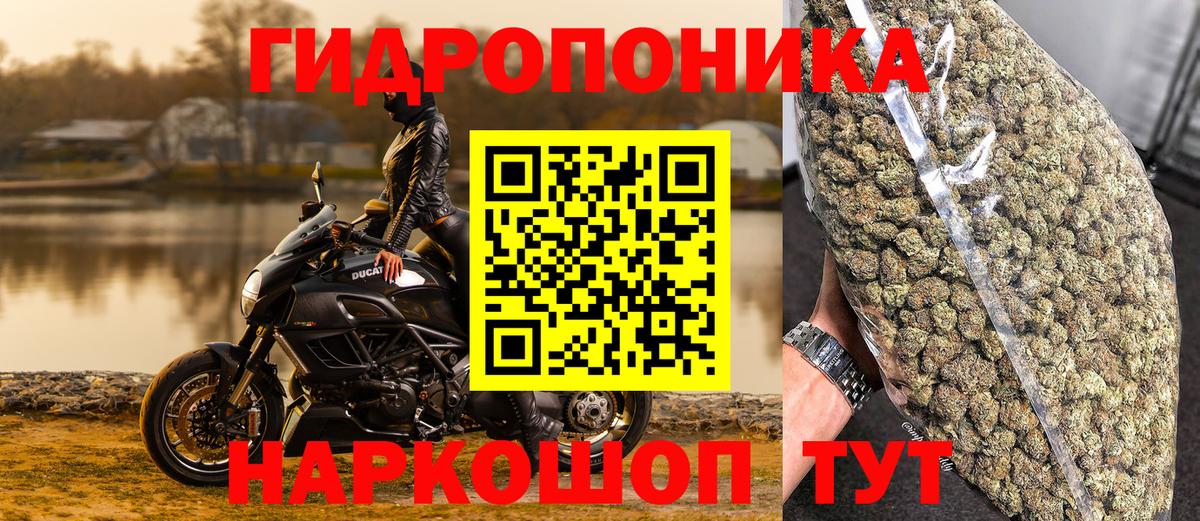 Каннабис Bruce Banner  Каннабис Ganja  Волгоград  МАРИХУАНА индика  МАРИХУАНА Ganja  Вход с VPN 